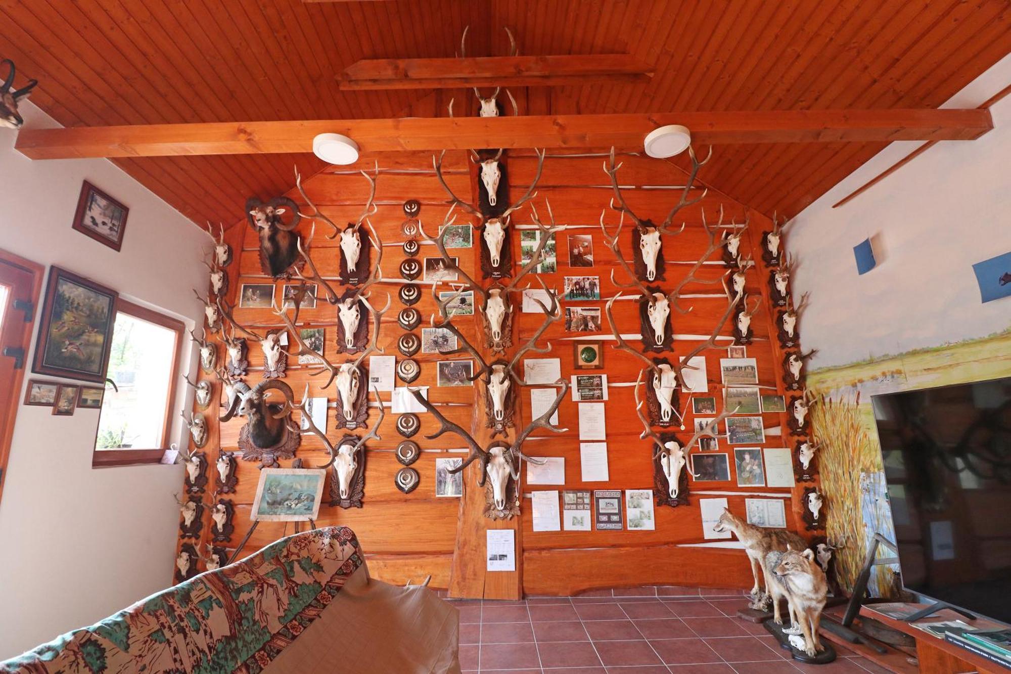 Fuezesi Papa Vendeghaza Hotel Harta Exterior foto